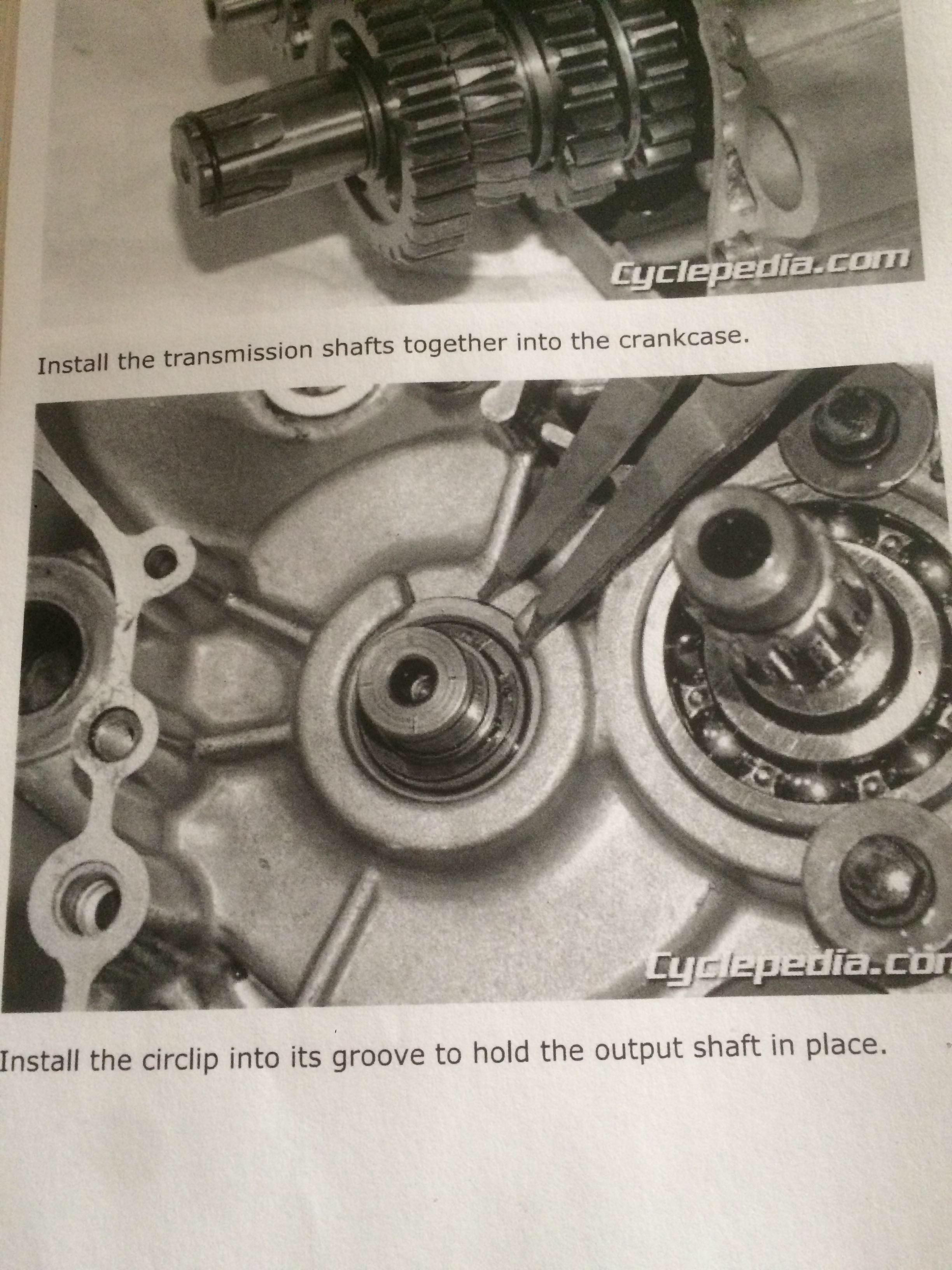 235604569_1420779518292114_3238225691276778306_n.jpg