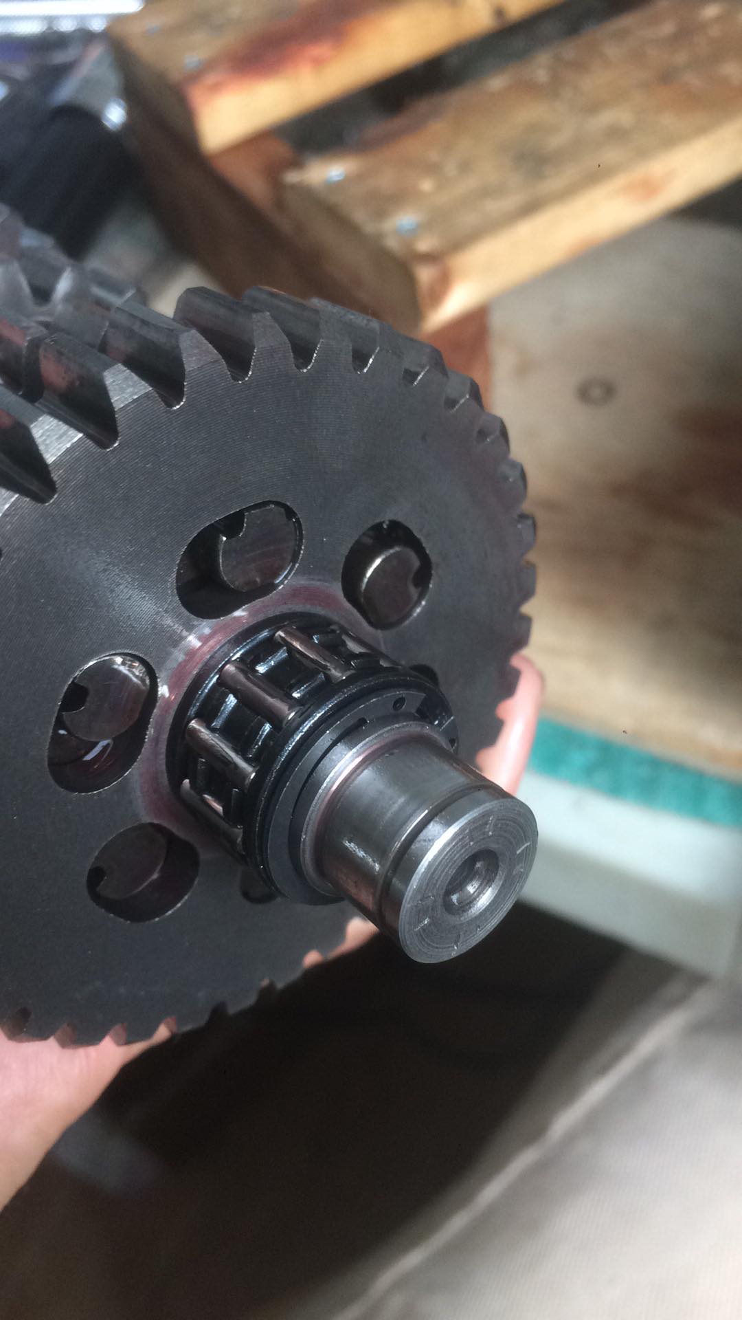 234570000_252144769909468_7775759902413855479_n.jpg