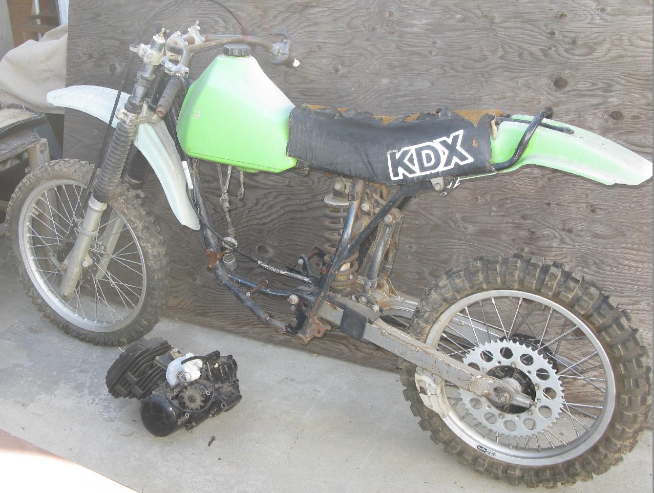 HopFrog_kdx175_002.jpg