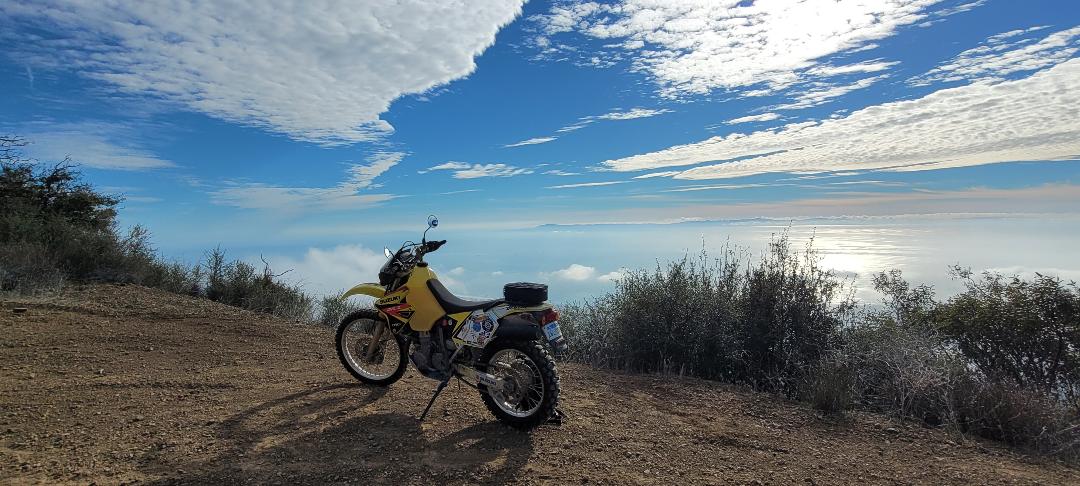 DRZ400_full_size.jpg