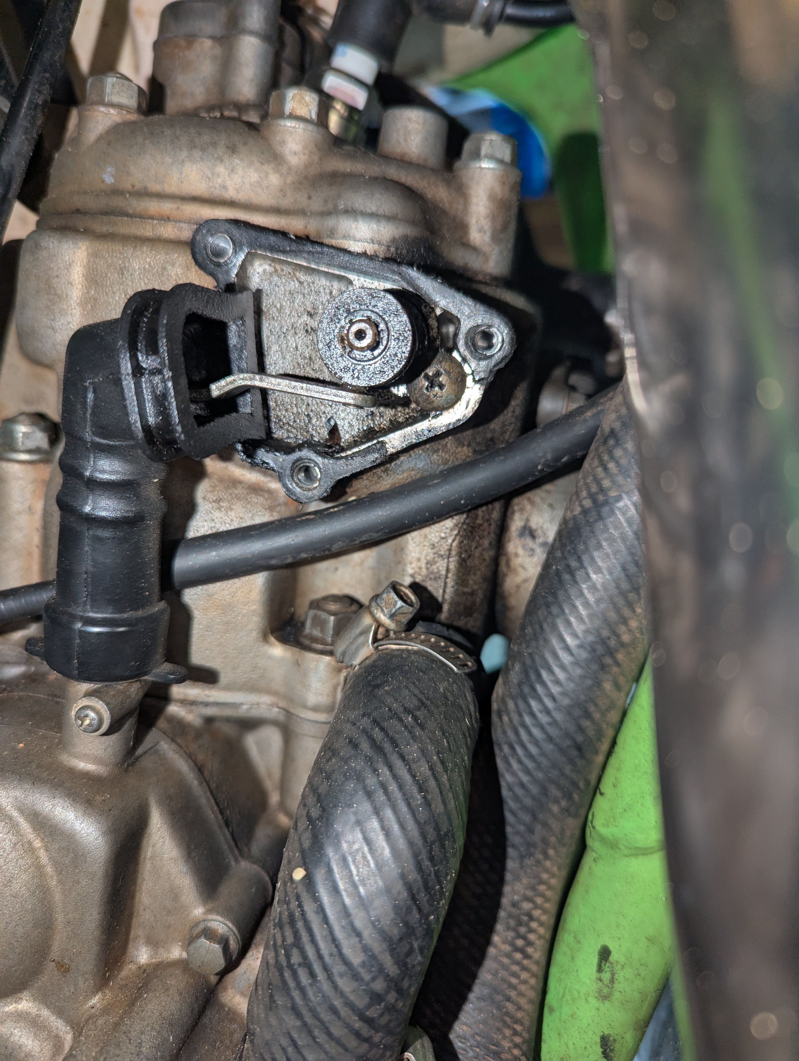 PXL_20250819_050916029.RAW-01.COVER.jpg