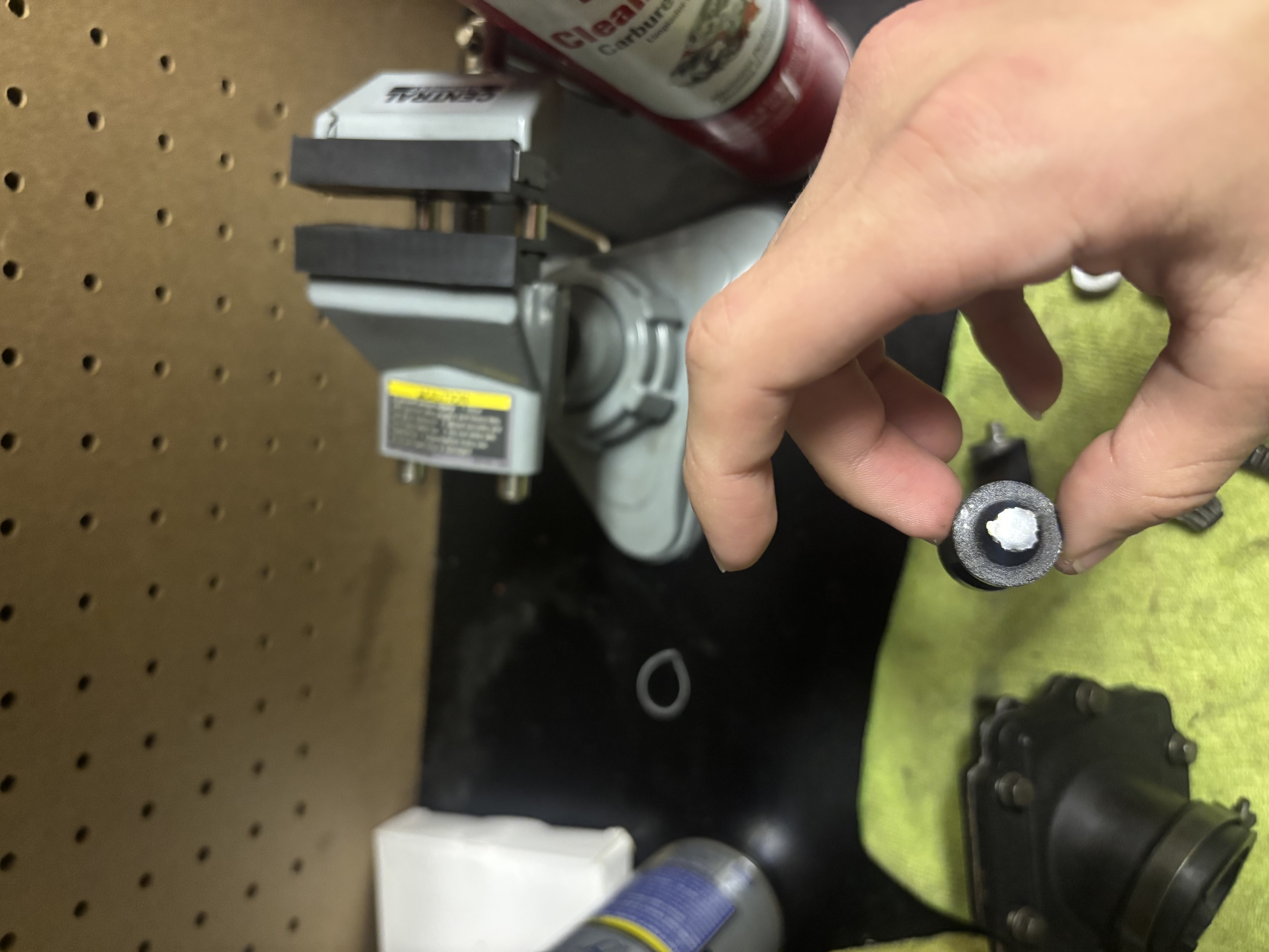 IMG_2036.jpeg