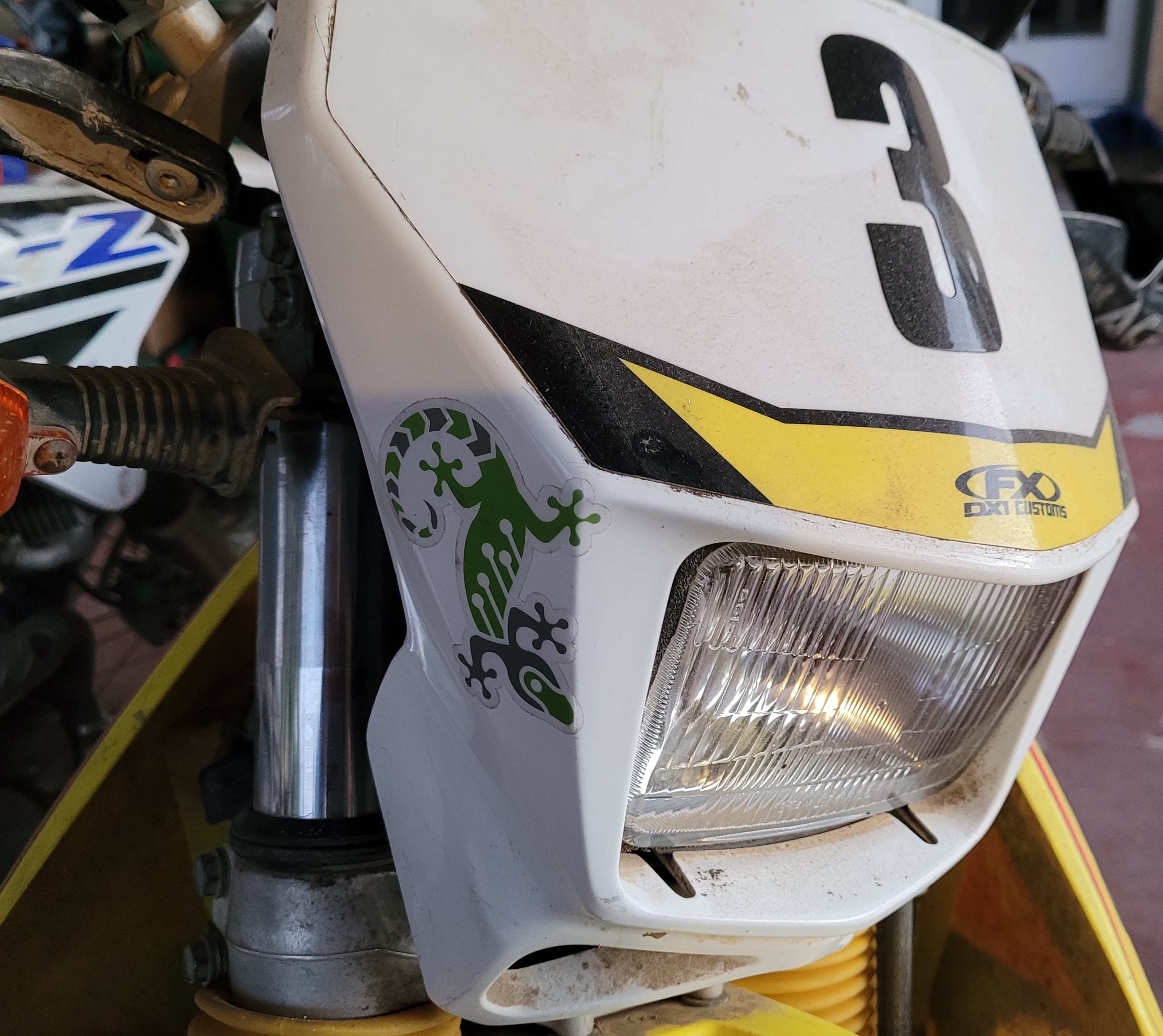 Gecko-DRZ.jpg
