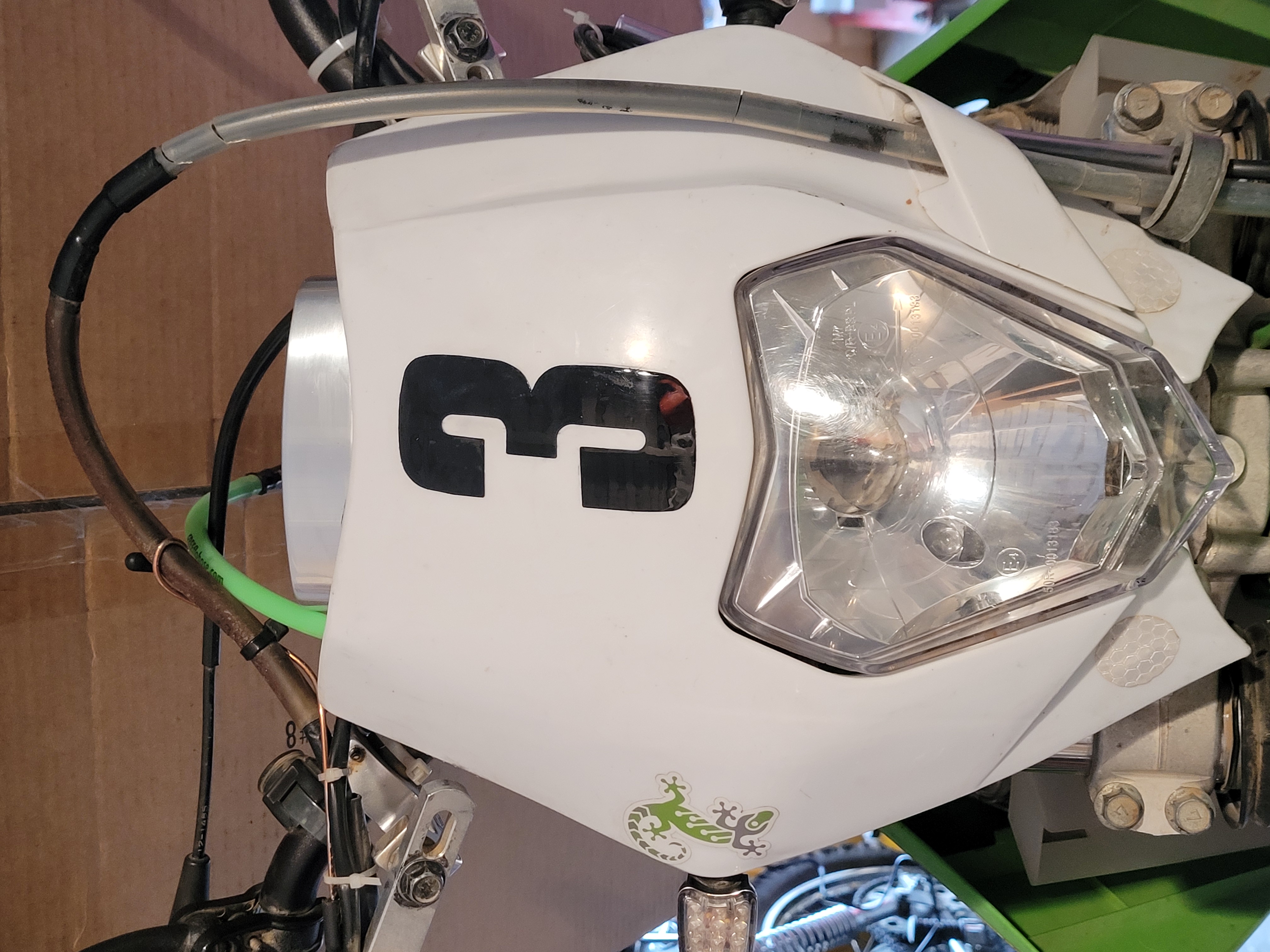 Gecko-KDX.jpg